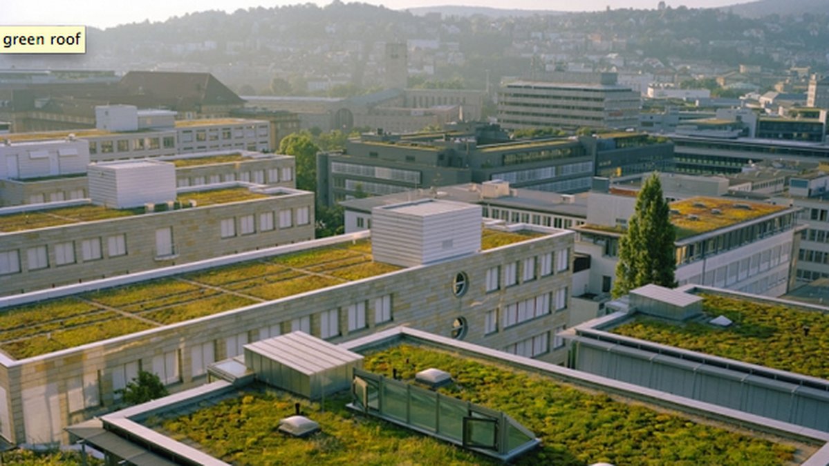 Ett så kallat "green roof".
